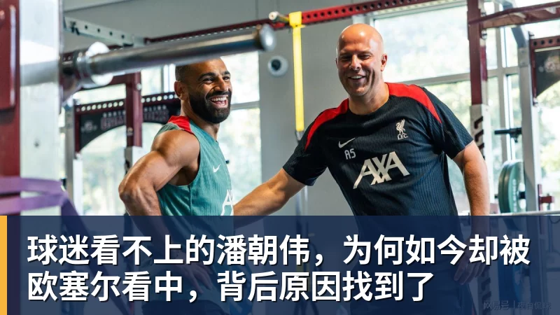 球迷看不上的潘朝伟,为何如今却被欧塞尔看中,背后原因找到了 - 星空体育(中国)官方网站 - STARSPORTS