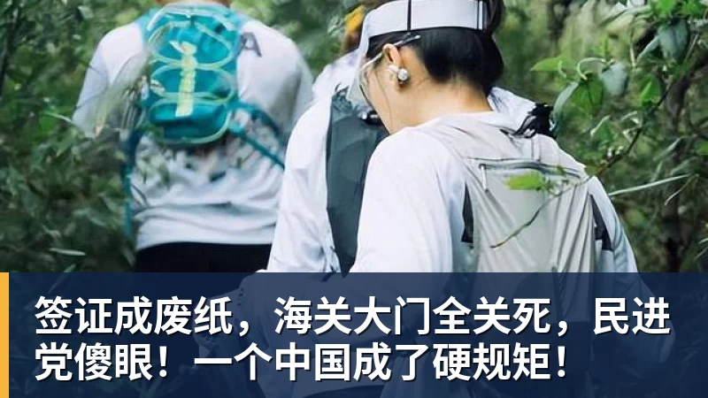 签证成废纸，海关大门全关死，民进党傻眼！一个中国成了硬规矩！