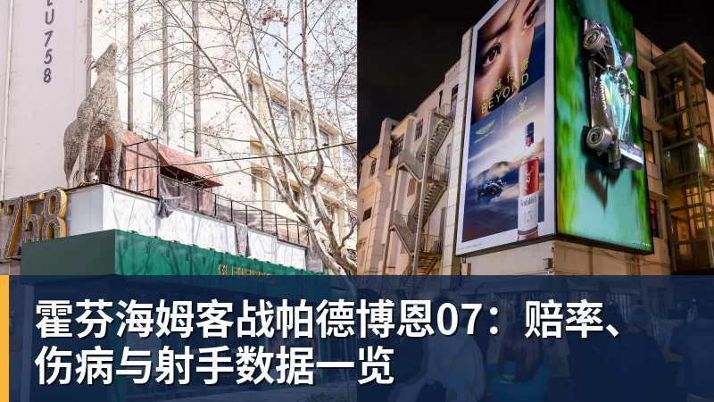 霍芬海姆客战帕德博恩07：赔率、伤病与射手数据一览